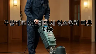 주말에도 OK! 태백시 청소업체 빠른 대응 🚀