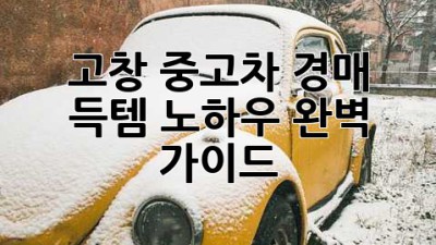 고창 중고차 경매: 득템 노하우 완벽 가이드